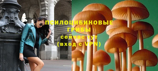марки lsd Богородицк