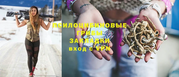 PSILOCYBIN Богданович