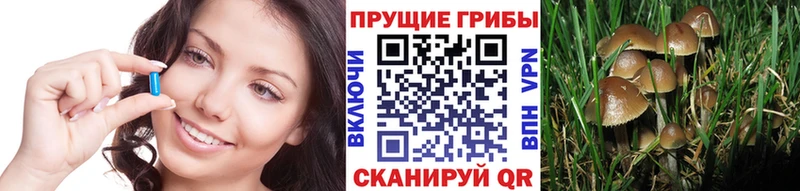 Псилоцибиновые грибы Magic Shrooms  Минеральные Воды 