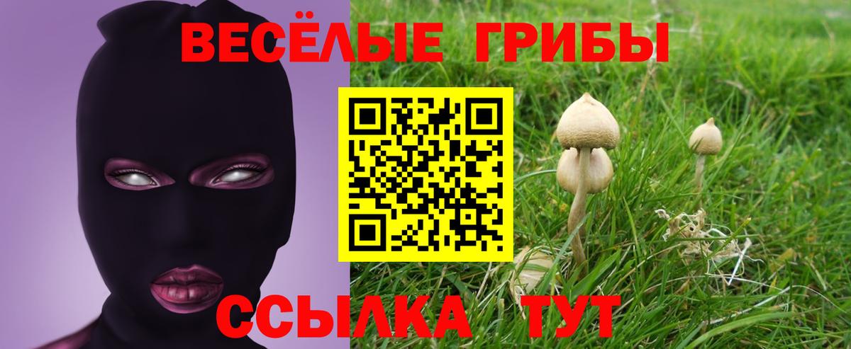 Псилоцибиновые грибы мицелий Минеральные Воды